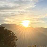 阿里山 - 享受森林浴、淨化心靈