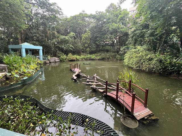 親子好去處 @ 城門谷公園