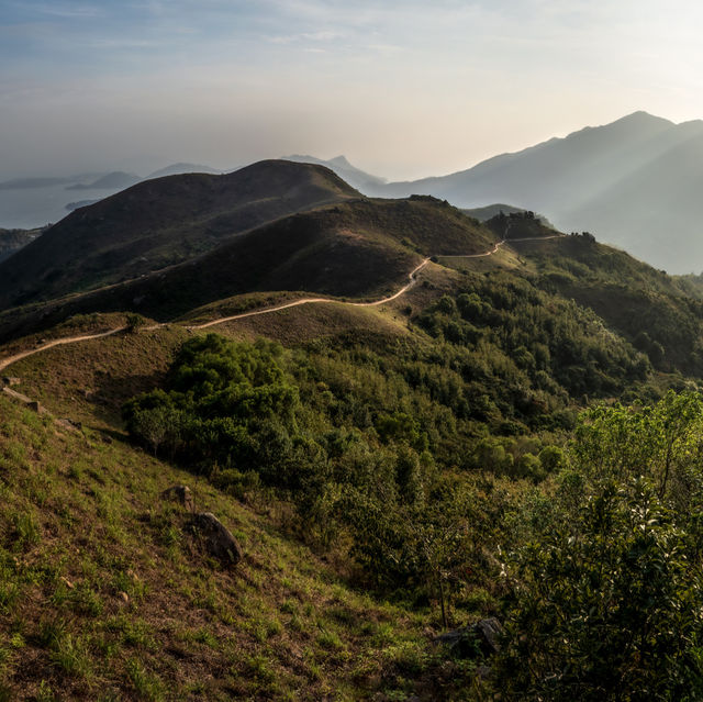 香港🇭🇰｜ 南山登大東山爛頭營 🏕️🌾 - 鳳凰徑2段 🌟
