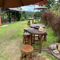 Elefin Farm & Cafe หางดง เชียงใหม่