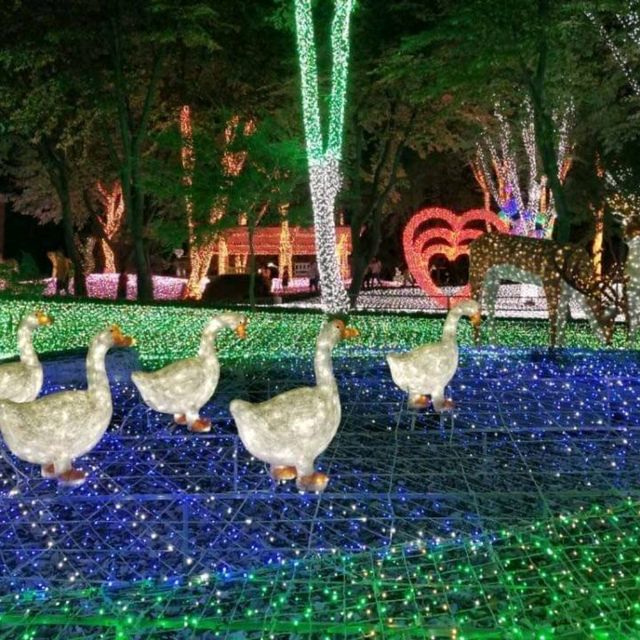 韓國冬天最有名 看夜燈🌟 安山星光村