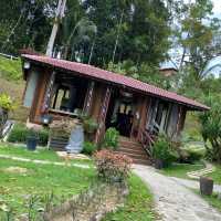 Beautiful resort in the nature, Fifty4Fern