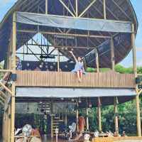 《泰國小馬爾代夫Bubble in the forest cafe》