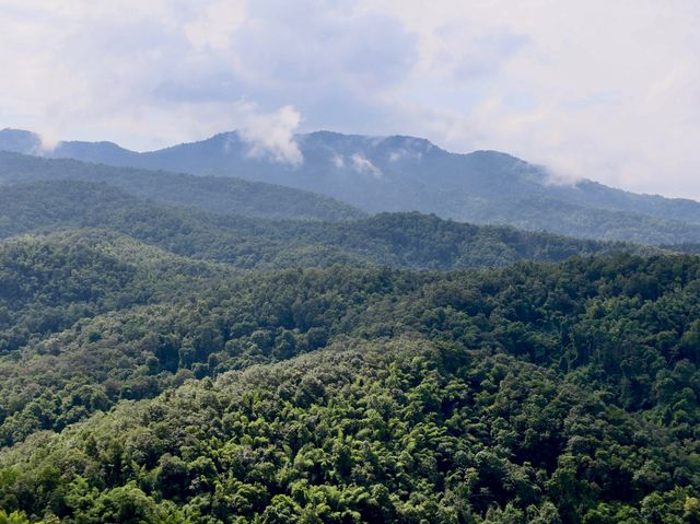 ไร่ลุงลอน : 𝐜𝐚𝐦𝐩𝐢𝐧𝐠 𝐢𝐬 𝐥𝐢𝐟𝐞 จ.แพร่⛰️