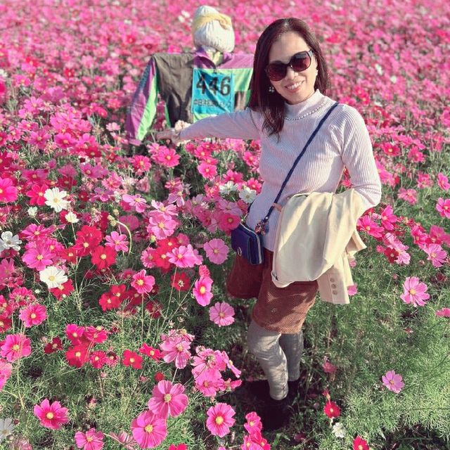 Beauty of Cosmos and You