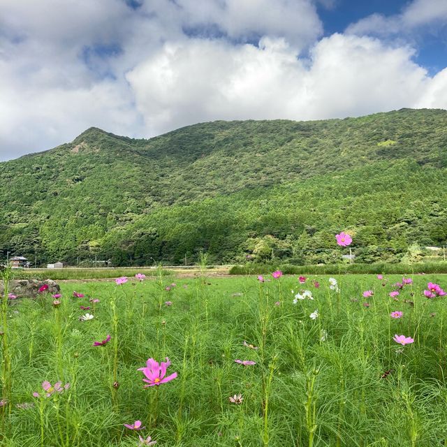 五島列島の手付かずな自然と歴史的建造物に癒される旅