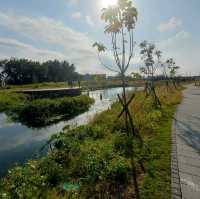 白天傍晚不同的美-雙溪濕地公園
