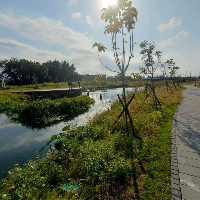 白天傍晚不同的美-雙溪濕地公園