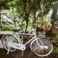 Coffee in Love  คาเฟ่น่ารักเมืองปาย