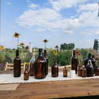 สวนดอกไม้เชียงใหม่ I Love Flower Farm