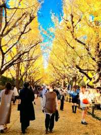 BEEN THERE, DONE THAT, AUTUMN IN JAPAN
