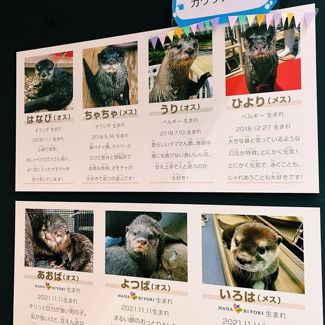 東京最新大型溫室植物園 HANA BIYORI 