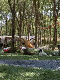 Camp Cafe คาเฟ่สไตล์แคมป์ปิ้ง ในสวนยาง อุดรฯ