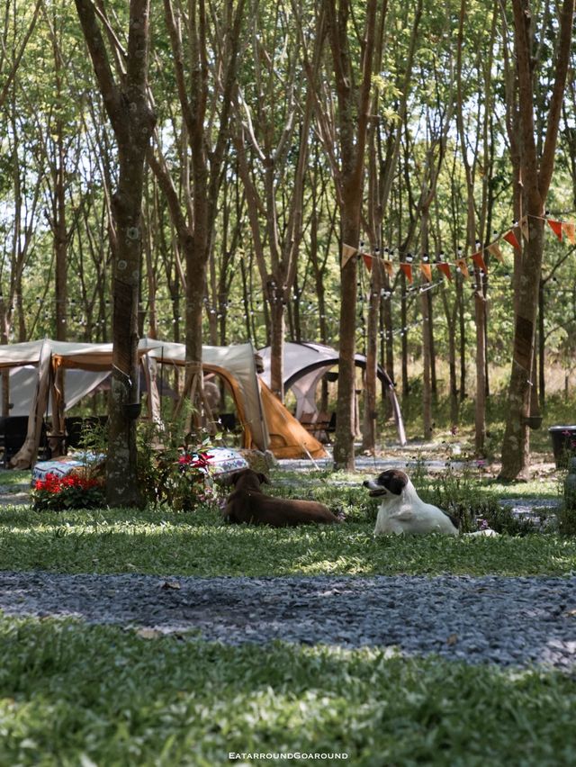 Camp Cafe คาเฟ่สไตล์แคมป์ปิ้ง ในสวนยาง อุดรฯ