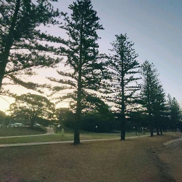 ชมพระอาทิตย์ตก @ Scarborough Beach
