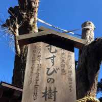 東京一小時車程近郊半日遊🫶🏻🫶🏻江島神社⛩️欣賞美麗海岸