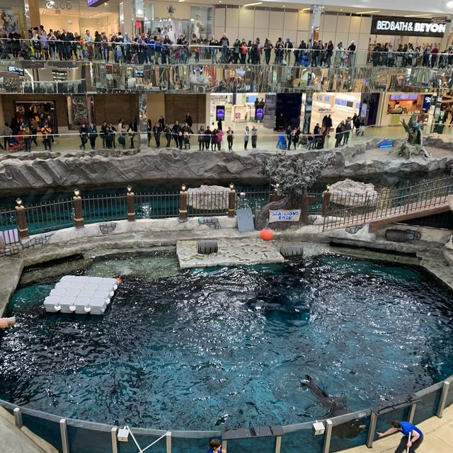 吃喝玩樂盡在West Edmonton Mall