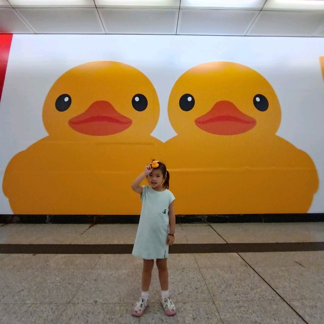 必睇必影 黃色鴨