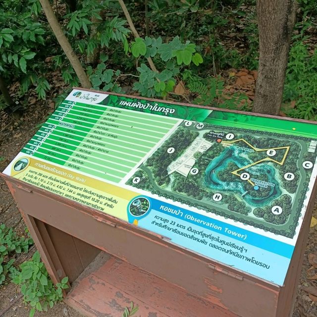 ไปฟินฟินกับธรรมชาติกลางกรุงเทพฯ กับป่าในกรง