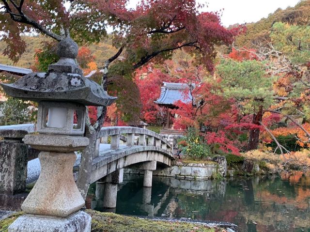 เที่ยวใบไม้เปลี่ยนสี เกียวโต วัดเอกันโดเซ็นริน 🍁⛩️