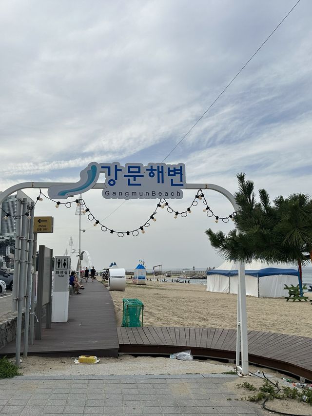 江原道の青く澄んだ海がオススメ！