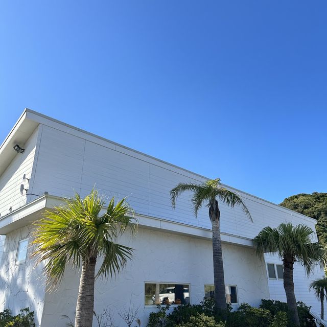 【福岡観光】糸島🌴✨