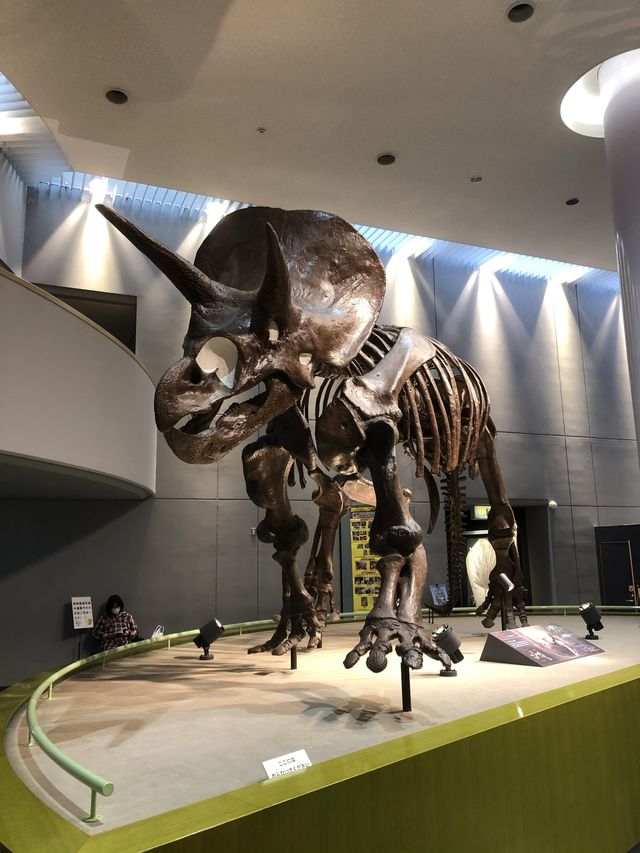 【愛知】豊橋の恐竜博物館！