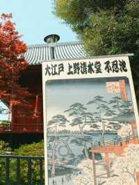 Bento Lunch in Ueno Park