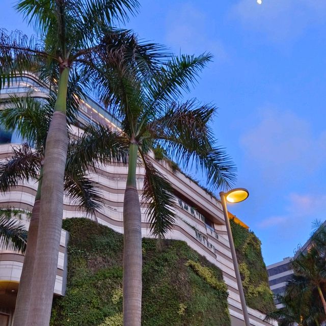 在尖沙咀海邊欣賞夜景 , 享用澳門美食！！！