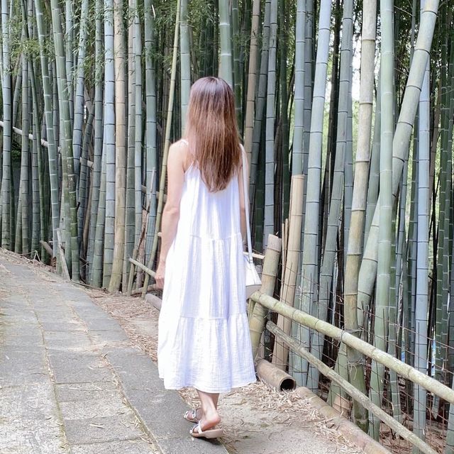 京都 1度は訪れたいオススメSPOT！
