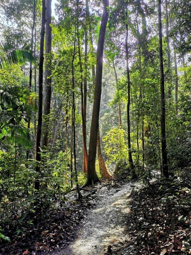 Gunung Ledang Waterfall exploration!