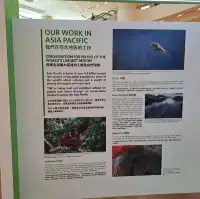 大自然保護協會攝影比賽作品展的個人體驗及感受