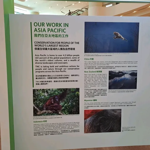大自然保護協會攝影比賽作品展的個人體驗及感受