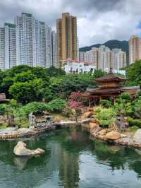 香港打卡好去處 @ 南蓮園池