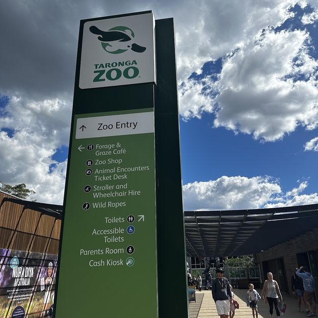 Beautiful Zoo in Sydney 