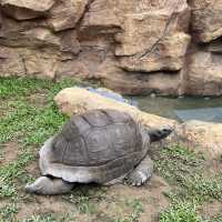全新動物展館「樹懶與好友」