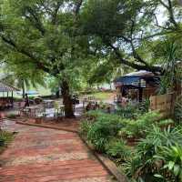 Dayang Lake 