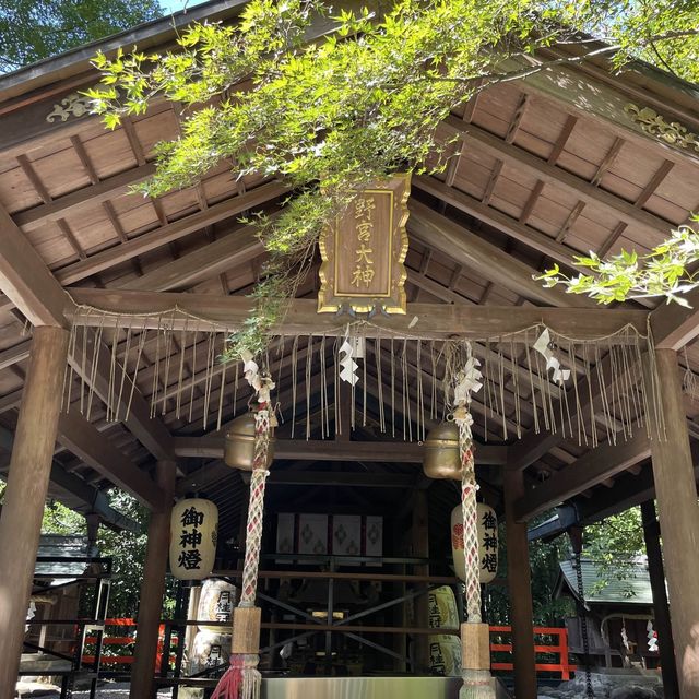 【京都府】源氏物語にも登場する野宮神社へ