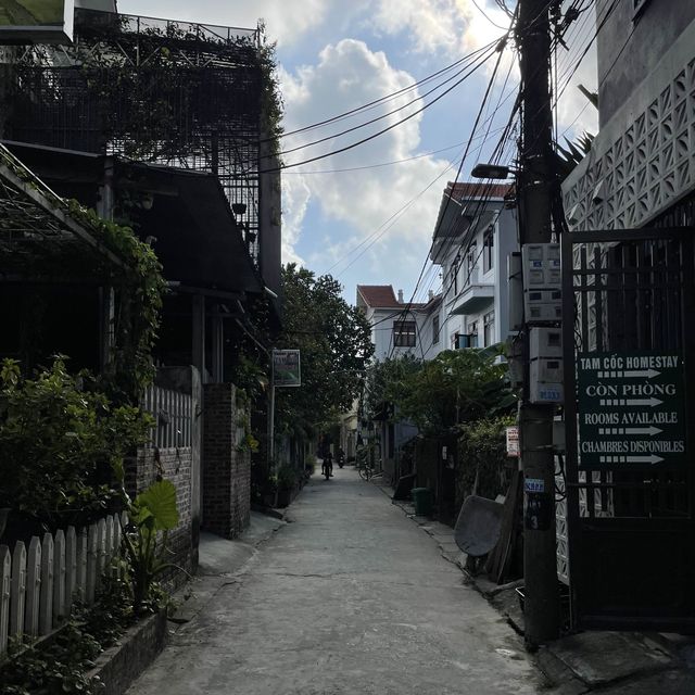 유네스코에서 주목한 도시, 베트남 닌빈