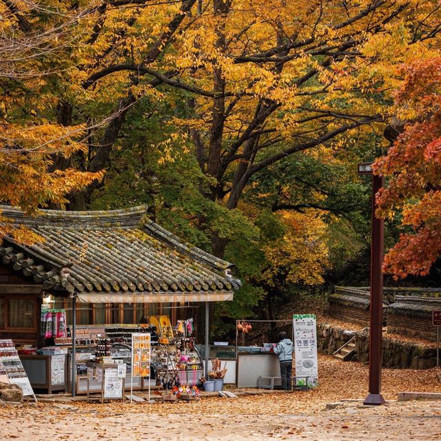 Beautiful Autumn View of Beopjusa Temple 