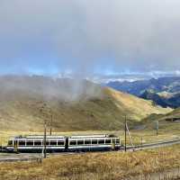 Alpine Bliss: Family Peaks Together