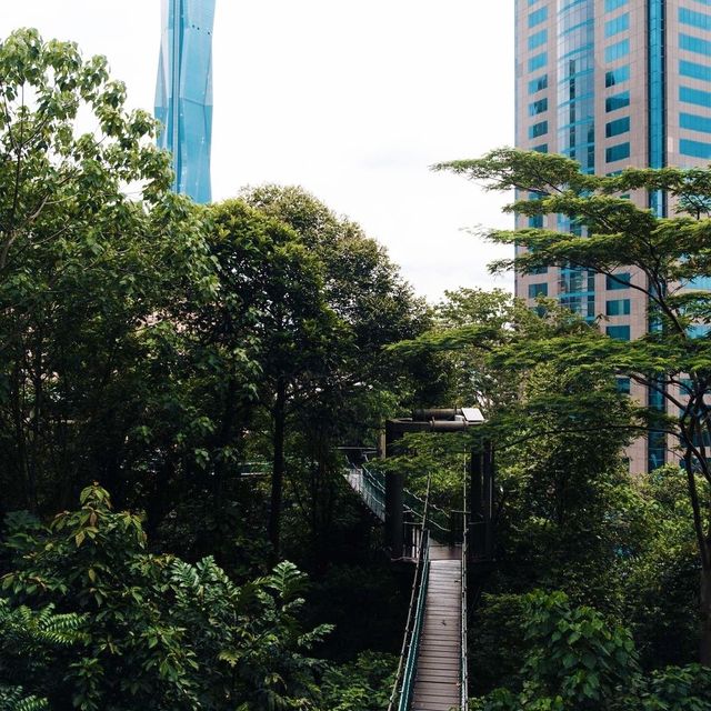 KL Forest Eco Park ❤️🇲🇾