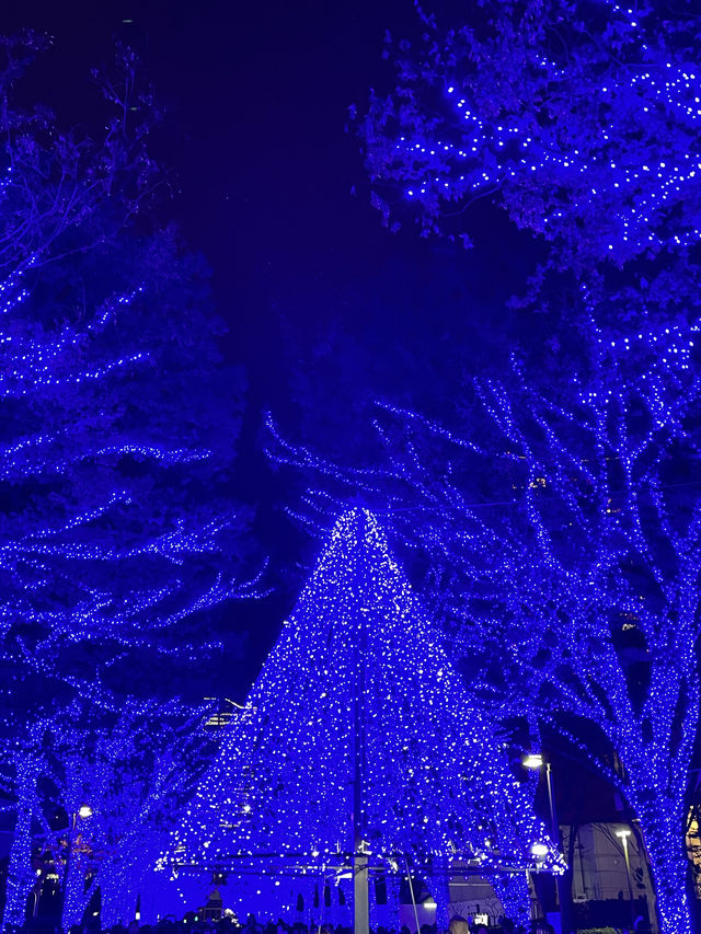 【東京デート】青一色の幻想的なイルミネーション💙