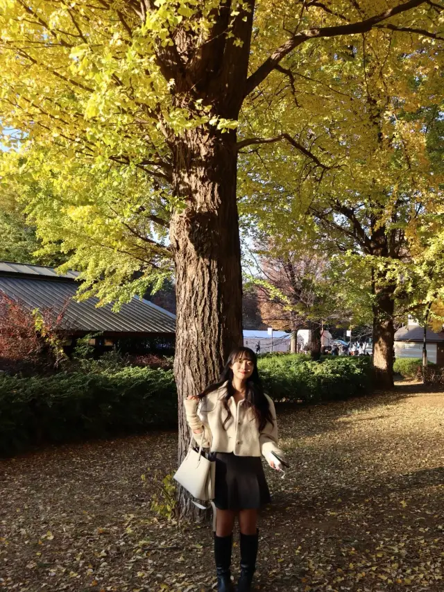 도쿄의 가을, 우에노 공원