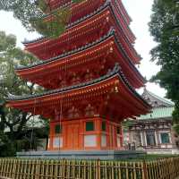 2023年 福岡観光！「東長寺」