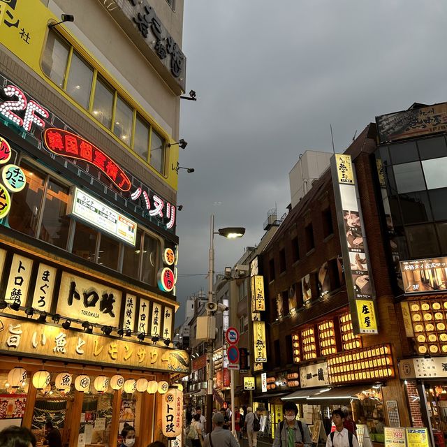 Kabukicho - Night in Tokyo 