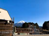 จุดชมวิวทะเลสาบทะนุกิ (Tanuki Lake)