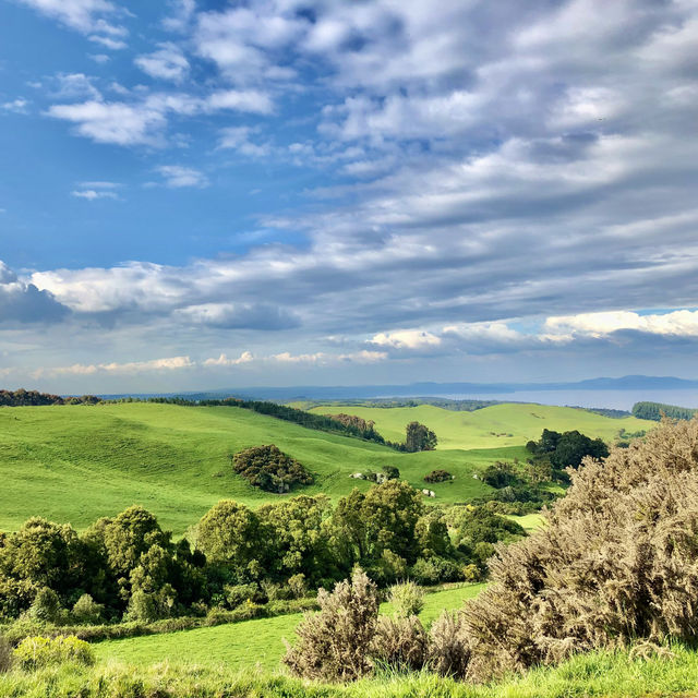 Taupō Tranquility: Road Trip Reverie