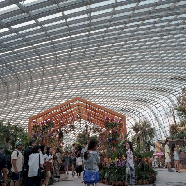 더운 싱가포르에서 시원한 실내 관광지 추천 플라워돔