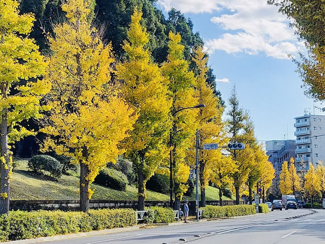 Yoyogi Park